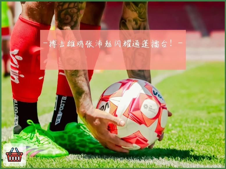 -搏击雄鸡张沛勉闪耀通蓬擂台！-