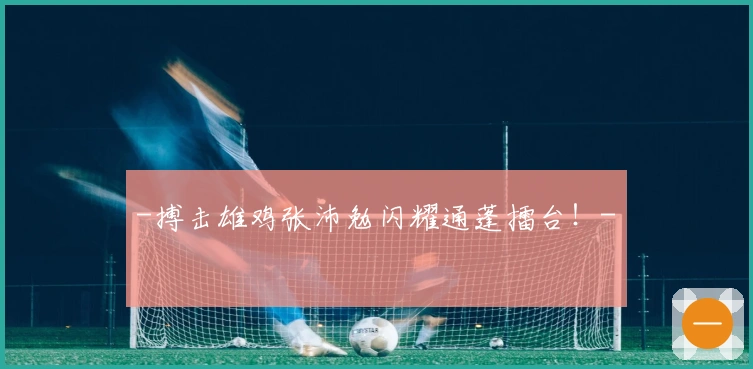 -搏击雄鸡张沛勉闪耀通蓬擂台！-